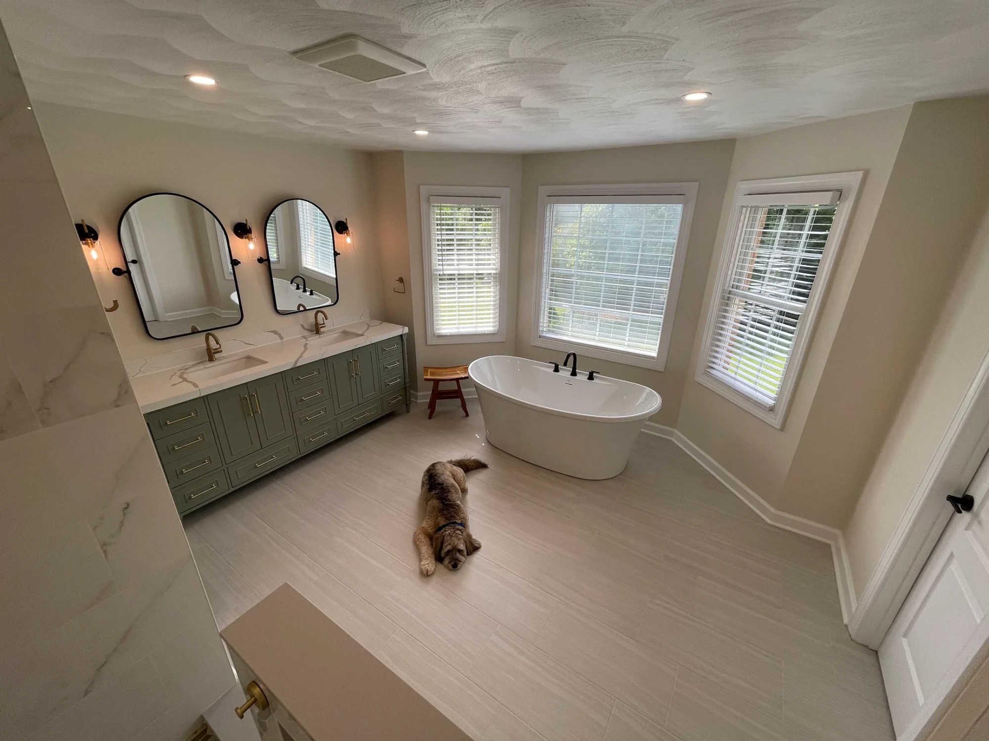 Dog in a bathroom wide shot